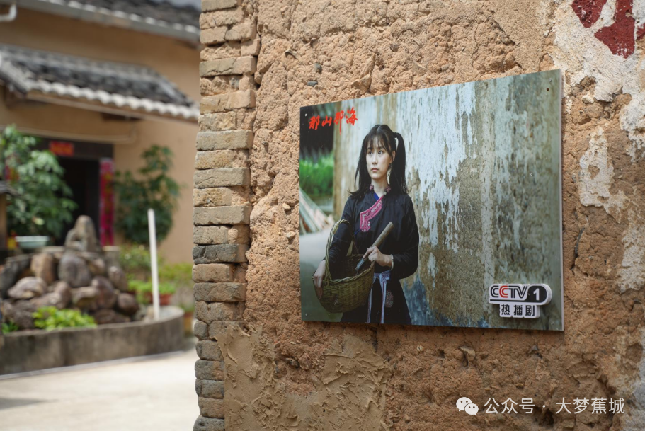 香里说丰年主理人招募来啦→九游会共赴洋头之约！稻花