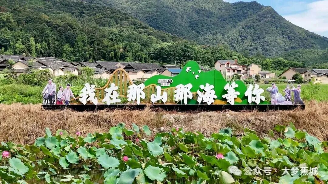 香里说丰年主理人招募来啦→九游会共赴洋头之约！稻花(图2)