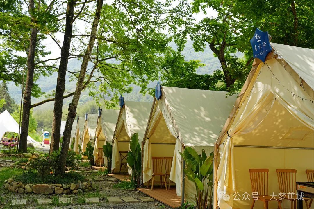 香里说丰年主理人招募来啦→九游会共赴洋头之约！稻花(图3)