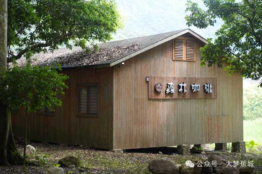 香里说丰年主理人招募来啦→九游会共赴洋头之约!稻花(图4) 香里说丰年主理人招募来啦→九游会共赴洋头之约!稻花(图4)