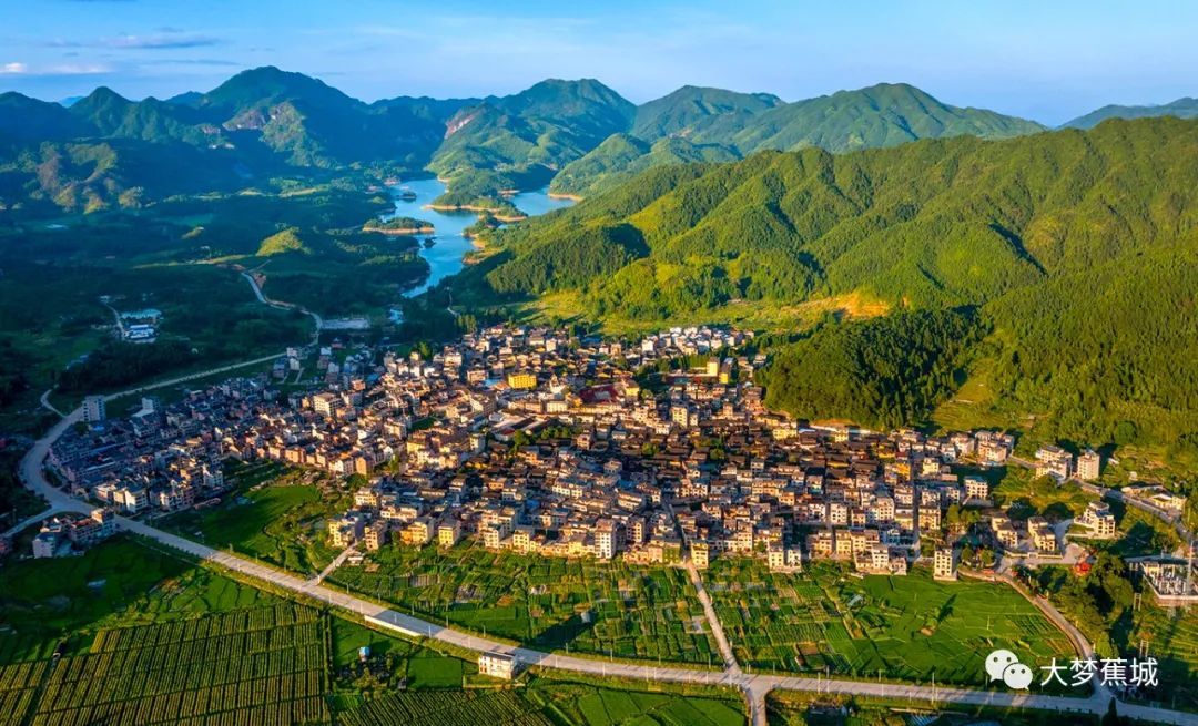 香里说丰年主理人招募来啦→九游会共赴洋头之约!稻花(图5) 香里说丰年主理人招募来啦→九游会共赴洋头之约!稻花(图5)