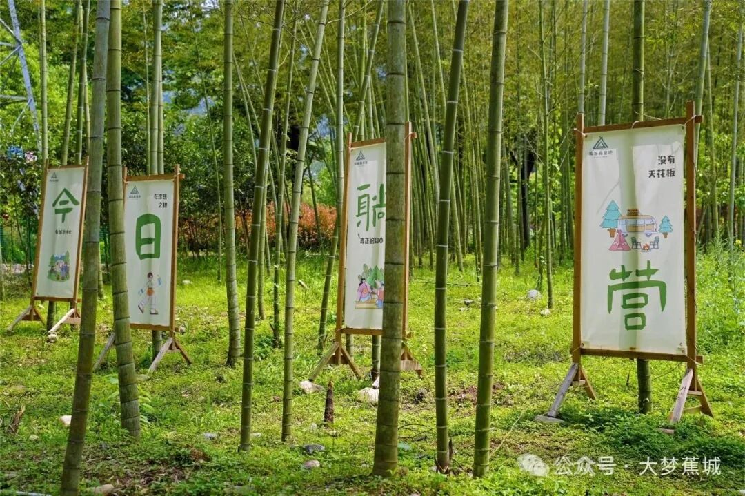 香里说丰年主理人招募来啦→九游会共赴洋头之约!稻花(图6) 香里说丰年主理人招募来啦→九游会共赴洋头之约!稻花(图6)